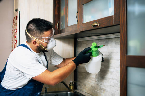 Best Cockroach Control Services  in Leominster, MA