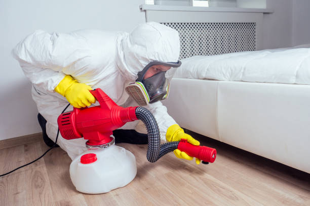 Best Affordable Pest Control Services  in Leominster, MA