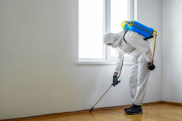  Leominster, MA Pest Control Pros