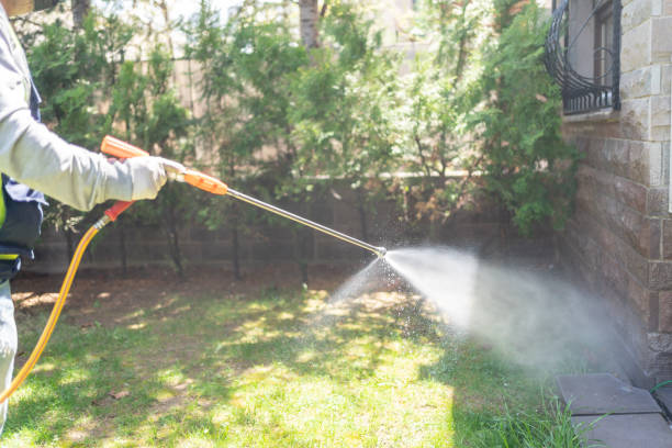 Professional Pest Control in Leominster, MA