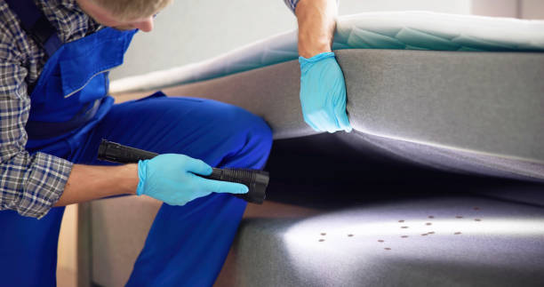 Best Pest Control Treatment  in Leominster, MA