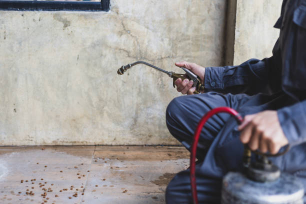 Best Mosquito Control Services  in Leominster, MA